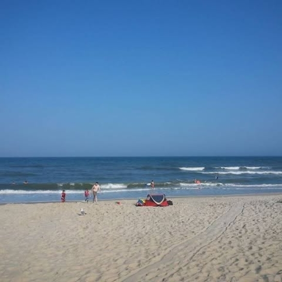 cheri_lindsay